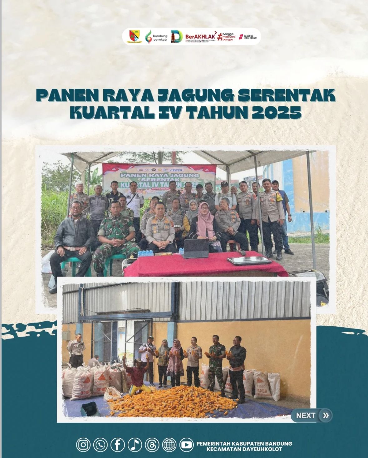 panen-raya-jagung-serentak-kuartal-iv-tahun-2025
